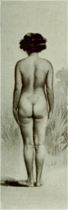 Vignola - Toutes les femmes, vol. 3, 1904 - Image-167