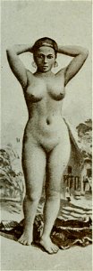 Vignola - Toutes les femmes, vol. 3, 1904 - Image-277