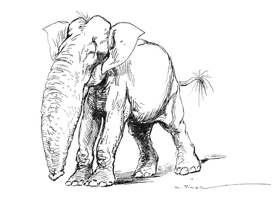 Vimar - Le Boy de Marius Bouillabès - Illustration p27