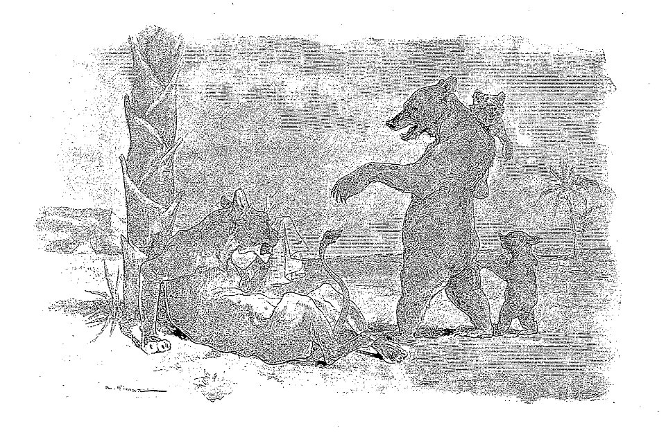 Vimar - Fables de La Fontaine - 10-12. La Lionne et l'Ourse