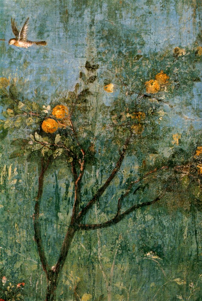 Villa di livia, affreschi di giardino, parete corta meridionale, cotogno