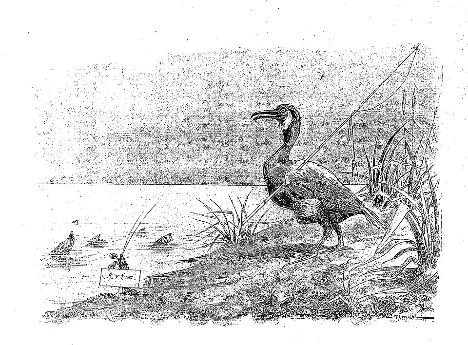 Vimar - Fables de La Fontaine - 10-04. Les Poissons et le Cormoran