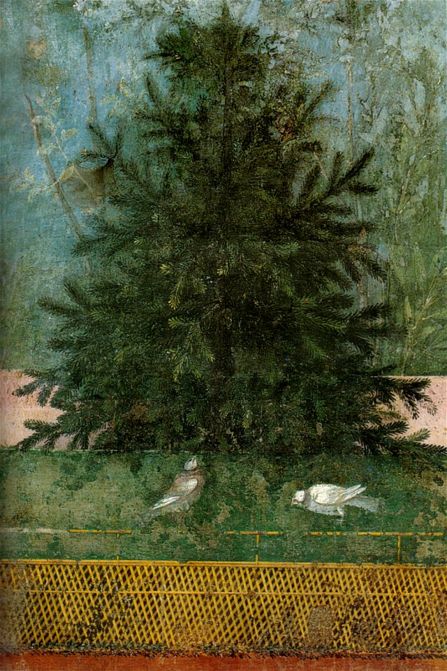 Villa di livia, affreschi di giardino, parete lunga occidentale, abete