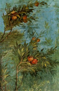 Villa di livia, affreschi di giardino, parete corta meridionale, melograno (dettaglio)