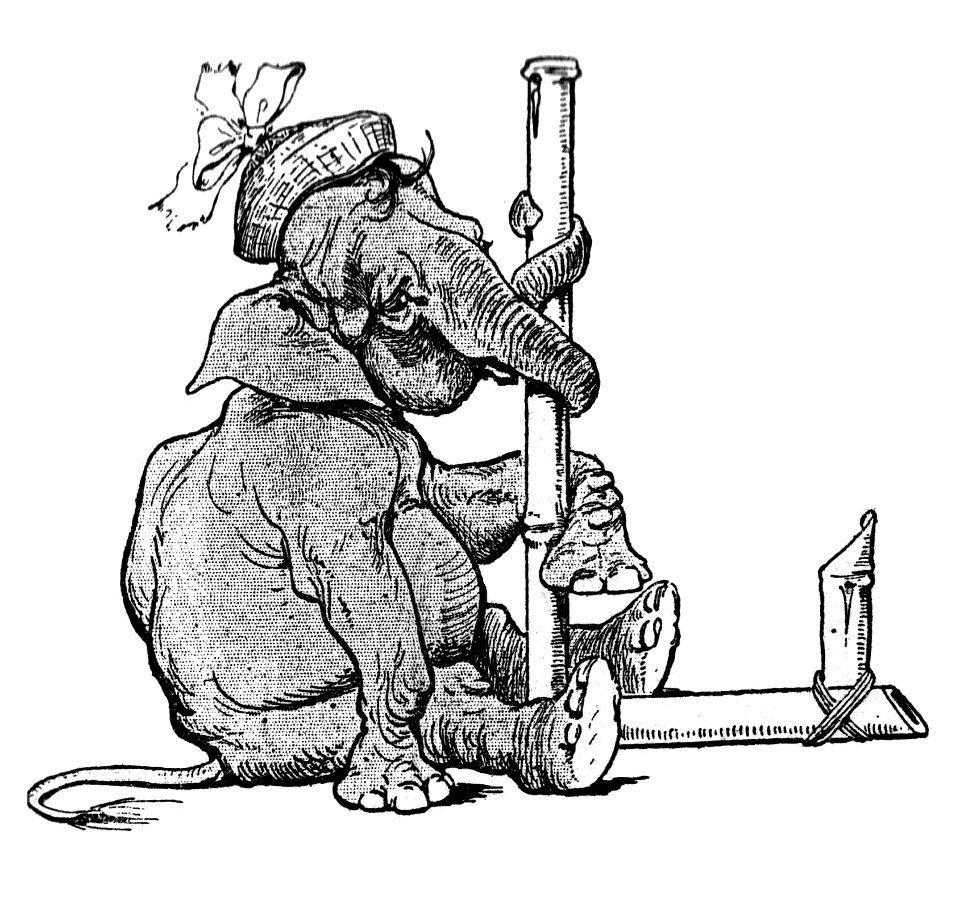 Vimar - Le Boy de Marius Bouillabès - Illustration pT