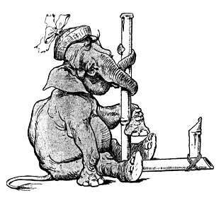 Vimar - Le Boy de Marius Bouillabès - Illustration pT