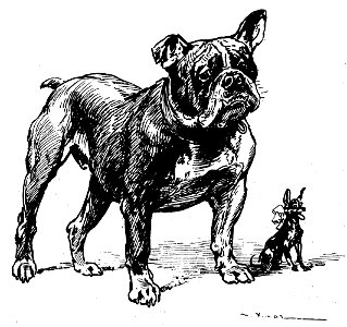 Vimar - Le Boy de Marius Bouillabès - Illustration p6b