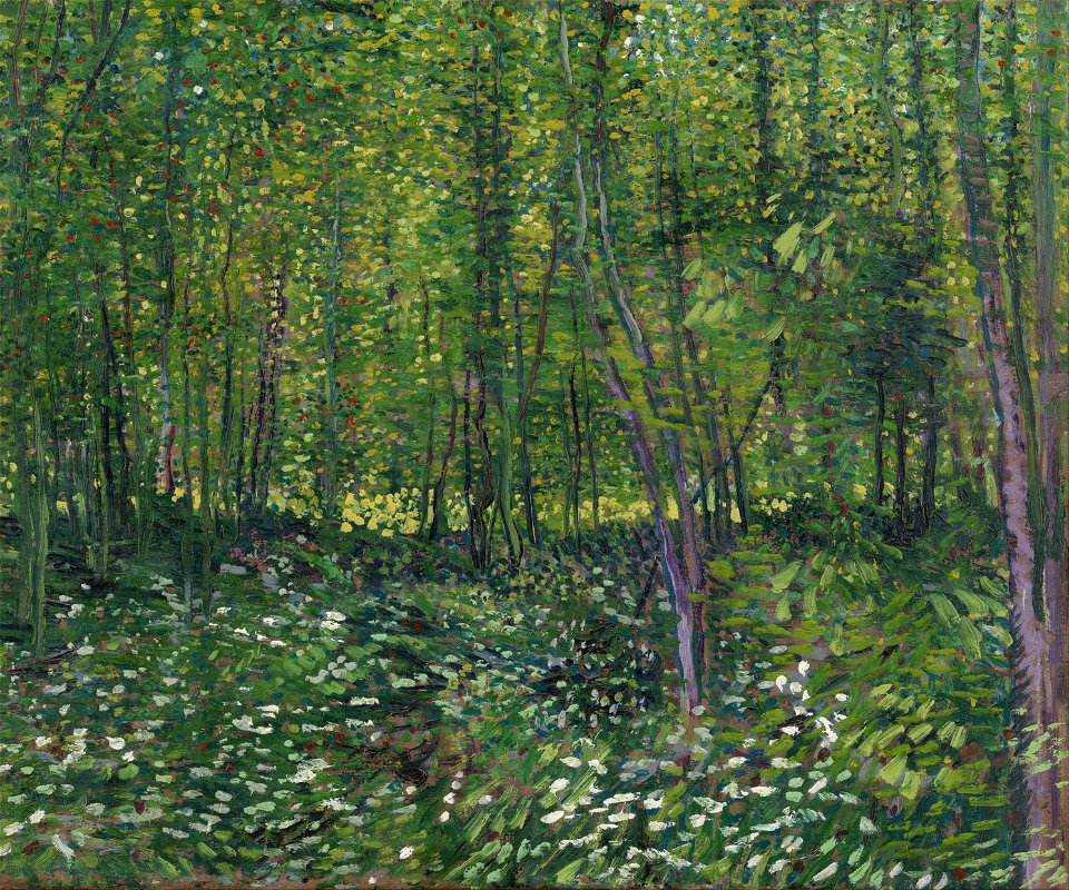 Vincent van Gogh - Trees and undergrowth - Google Art Project
