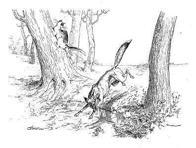 Vimar - Fables de La Fontaine - 09-13 .Le Chat et le Renard
