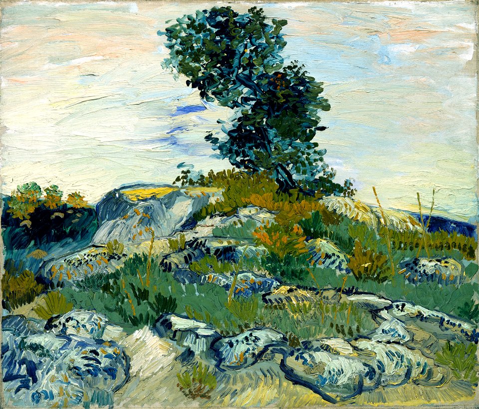 Vincent van Gogh - The Rocks - 74.139 - Museum of Fine Arts