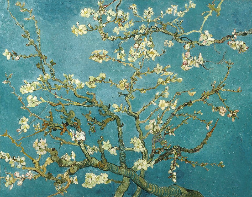 Vincent van Gogh - Almond Blossom - VGM F671