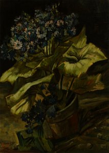 Vincent van Gogh - Cineraria - Google Art Project
