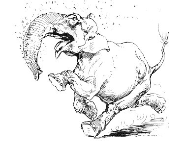 Vimar - Le Boy de Marius Bouillabès - Illustration p26