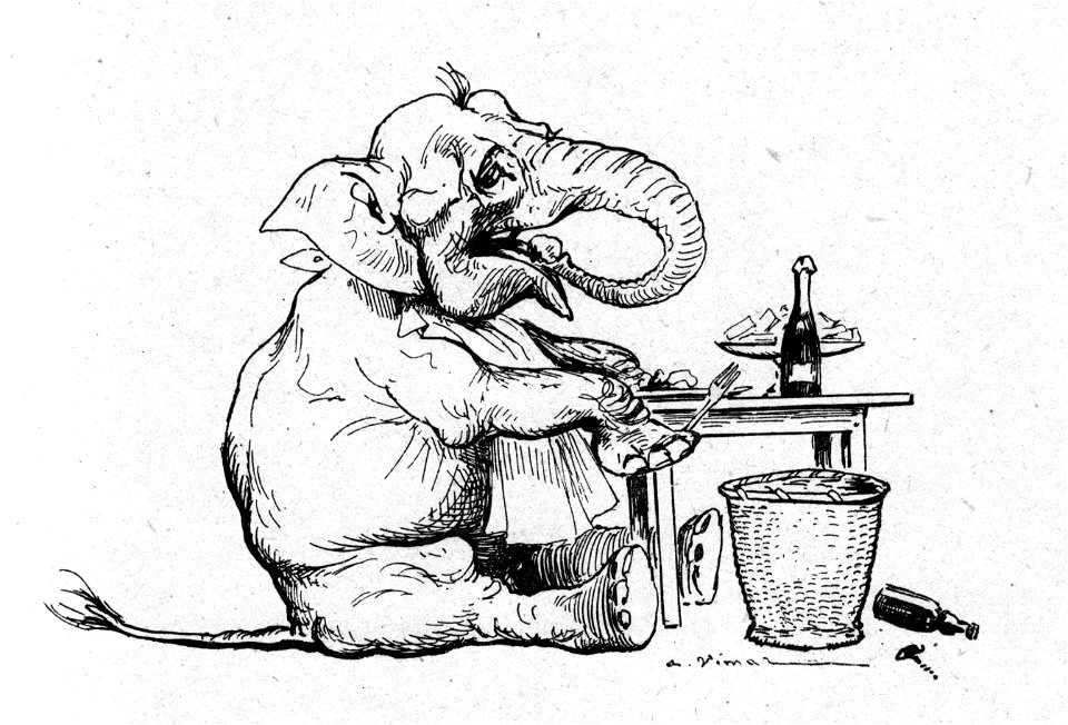 Vimar - Le Boy de Marius Bouillabès - Illustration p37