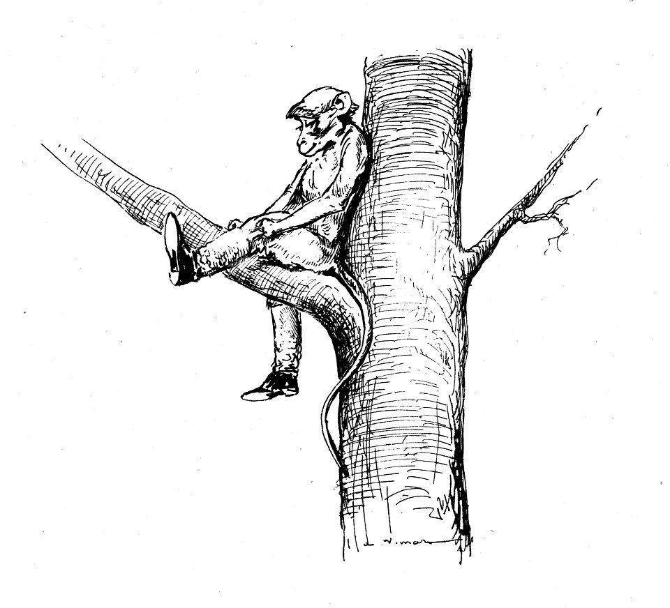 Vimar - Le Boy de Marius Bouillabès - Illustration p63