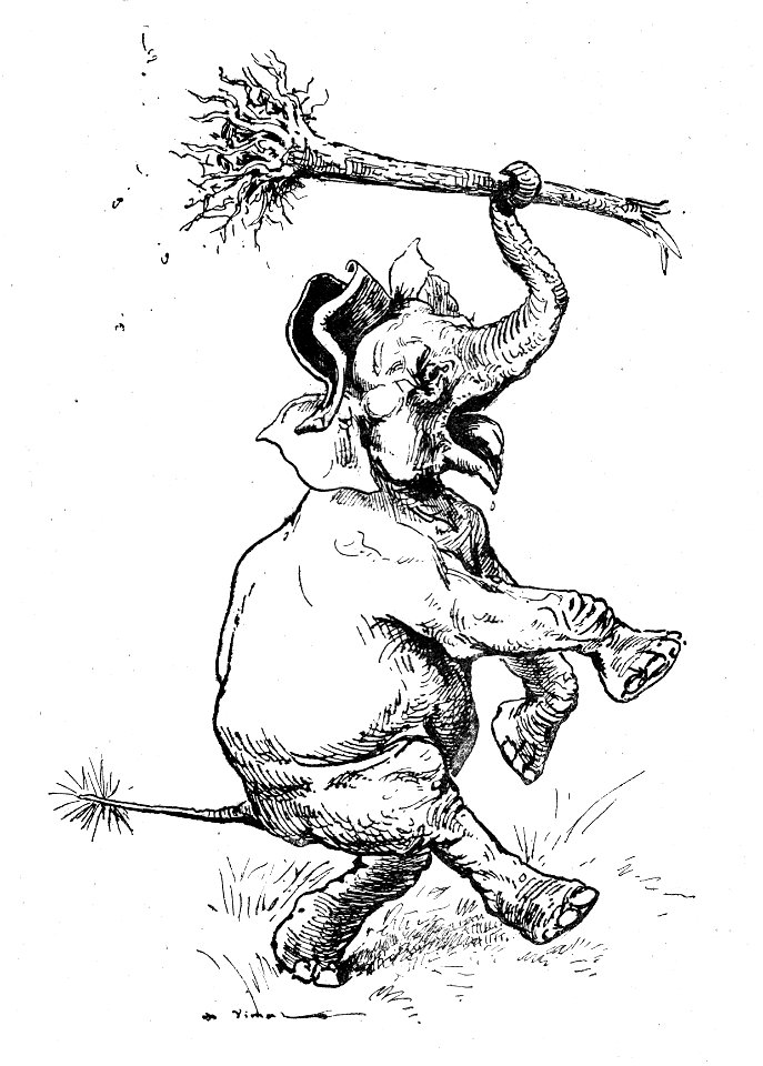 Vimar - Le Boy de Marius Bouillabès - Illustration p8