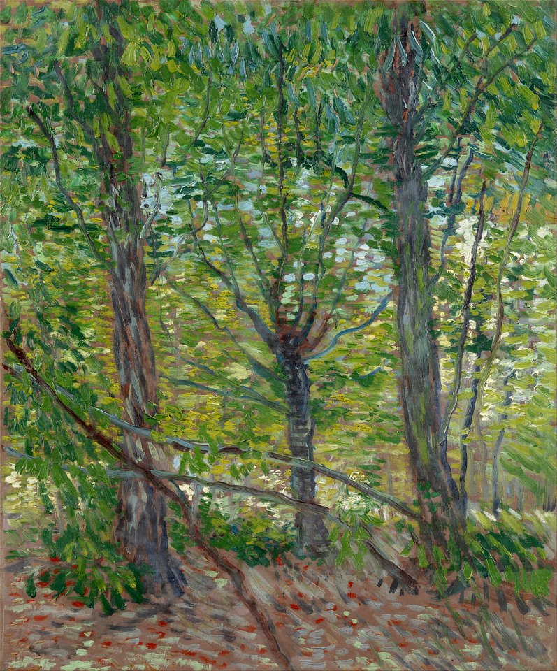 Vincent van Gogh - Trees - Google Art Project