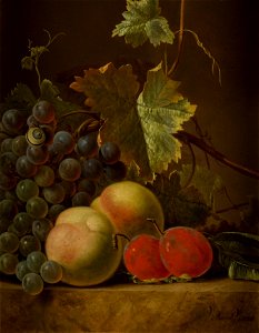 Vincent Jansz. van der Vinne - Stilleven met fruit - BR2882 - Rijksmuseum Twenthe. Free illustration for personal and commercial use.