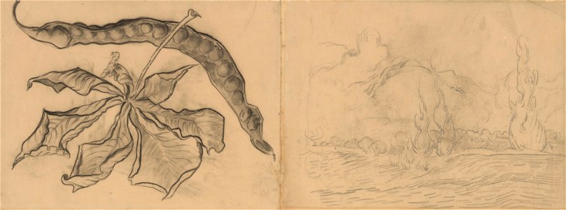 Vincent van Gogh - Chestnut Leaf with Pod F1611 JH2058 - Landscape with Cypresses F1541r JH 1730
