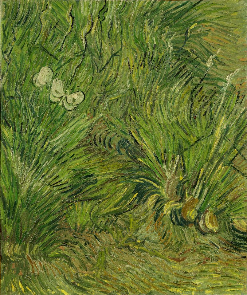 Vincent van Gogh - Garden with butterflies - Google Art Project