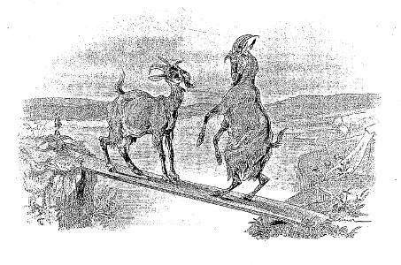 Vimar - Fables de La Fontaine - 12-04. Les Deux Chèvres