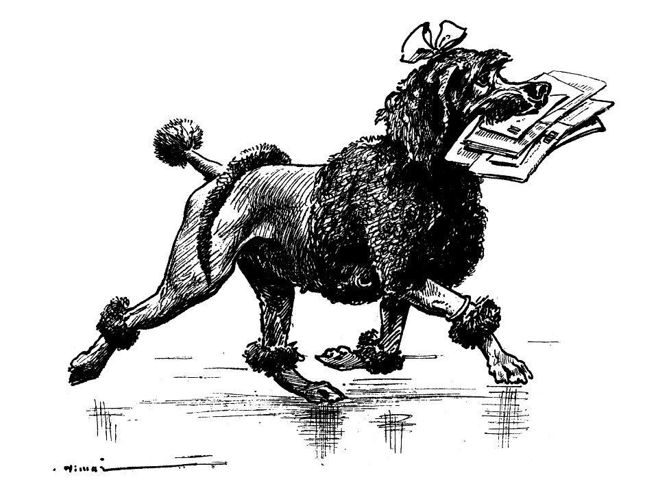 Vimar - Le Boy de Marius Bouillabès - Illustration p2