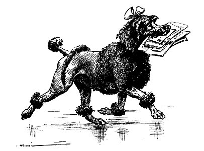 Vimar - Le Boy de Marius Bouillabès - Illustration p2
