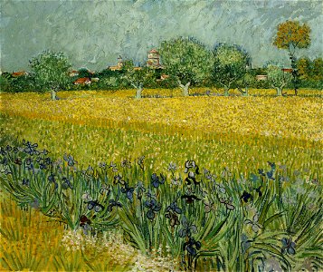 Vincent van Gogh - Veld met bloemen bij Arles - Google Art Project. Free illustration for personal and commercial use.