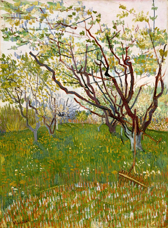 Vincent Van Gogh 0021