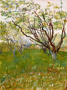 Vincent Van Gogh 0021