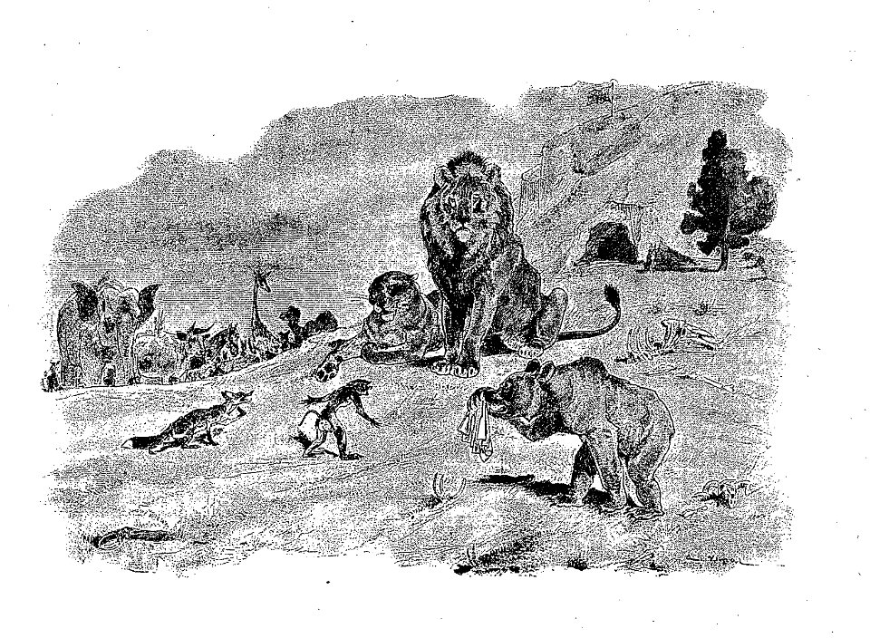 Vimar - Fables de La Fontaine - 07-05 . La Cour du Lion