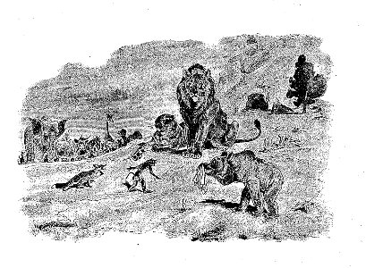 Vimar - Fables de La Fontaine - 07-05 . La Cour du Lion