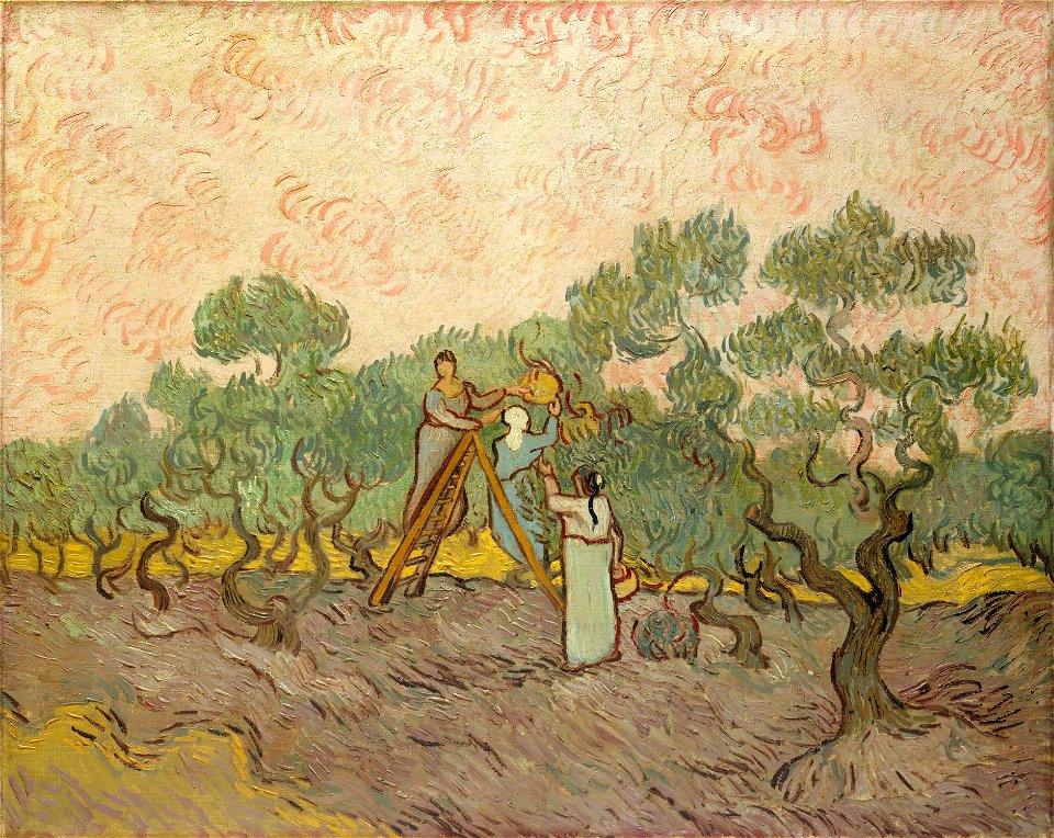 Vincent van Gogh - Vrouwen olijven plukken