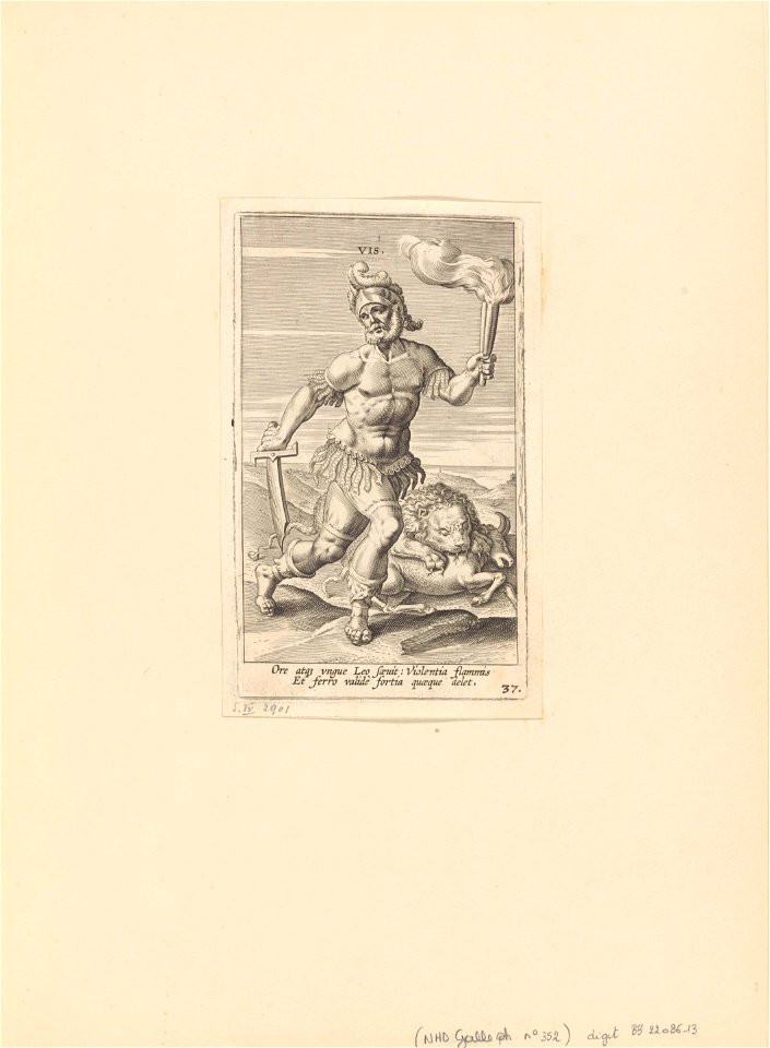 Vis print by Philip Galle, S.IV 2901, Prints Department, Royal Library of Belgium