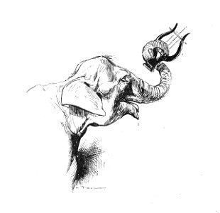 Vimar - Le Boy de Marius Bouillabès - Illustration p22