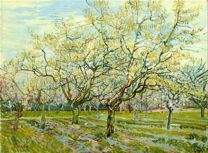 Vincent van Gogh - The white orchard - Google Art Project