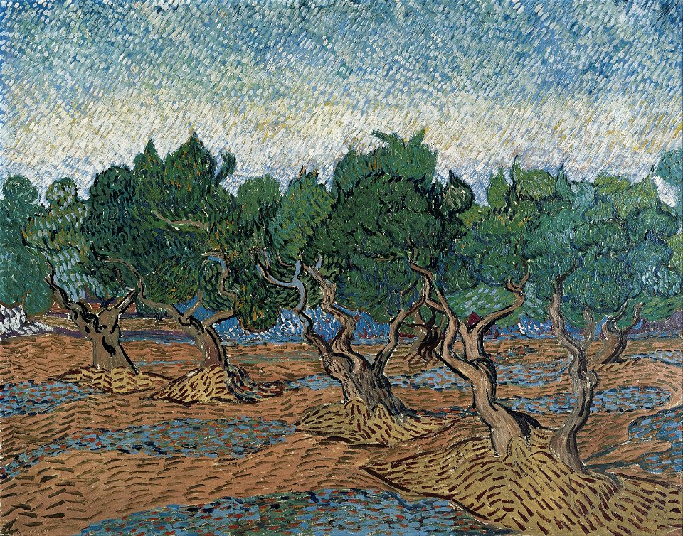 Vincent van Gogh - Olive grove - Google Art Project