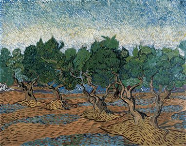 Vincent van Gogh - Olive grove - Google Art Project. Free illustration for personal and commercial use.