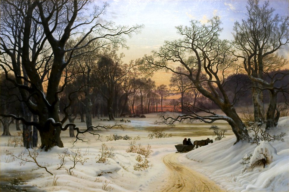 Vinteraften i en skov