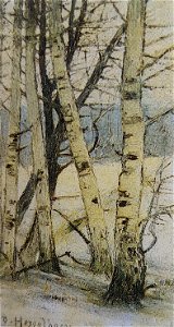 Vintetbjörkstammar x Otto Hesselbom