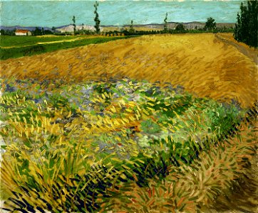 Vincent van Gogh - Wheatfield - Google Art Project. Free illustration for personal and commercial use.