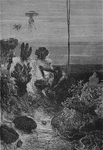 Vingtmillelieue00vern orig 0252 1