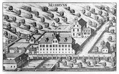 Vischer - Topographia Ducatus Stiria - 126 Graz Moosbrunn