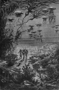 Vingtmillelieue00vern orig 0131 1