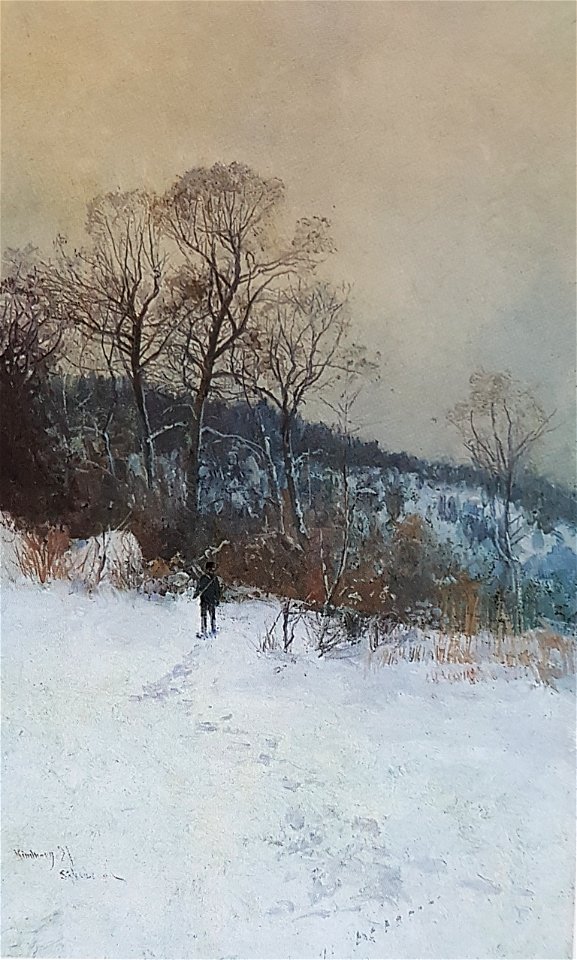 Vinterlandskap x John Kindborg