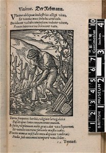 Vinitor. Der Rebmann. (The Vine Grower) (BM 1904,0206.103.41)