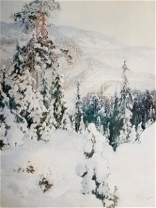 Vinterlandskap x Carl Brandt
