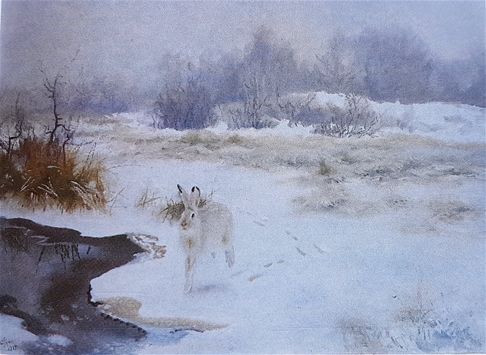Vinterlandskap x Bruno Liljefors