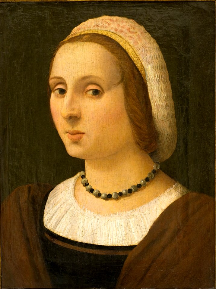 Vincenzo Tamagni - Portrait of a Lady - Google Art Project