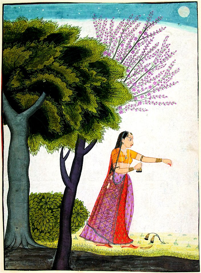 Vipralabdha nayika (6125124330)